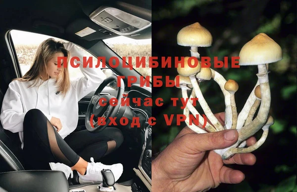спиды Алзамай