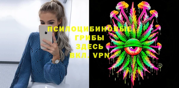 дурь Алексин
