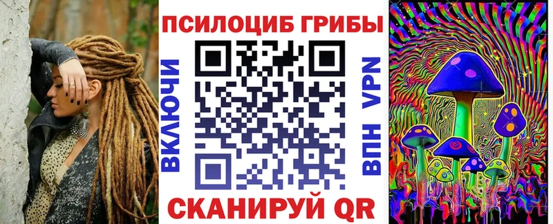 Галлюциногенные грибы Psilocybe  Бикин 
